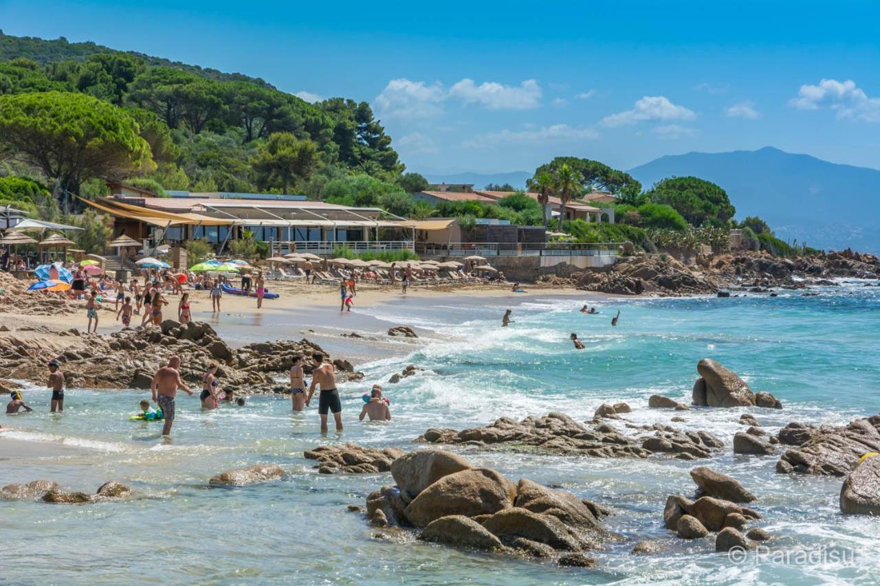 Studio Rue Pietonne Ajaccio Ajaccio  Eksteriør billede